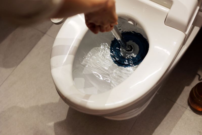 Backed Up Toilet Repair in Columbus, OH