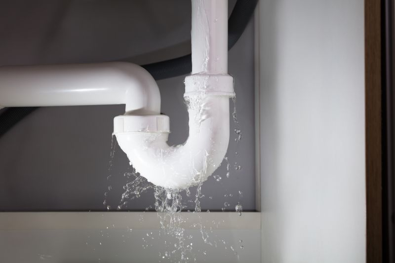 Pipe Leak Repair in Denver, CO