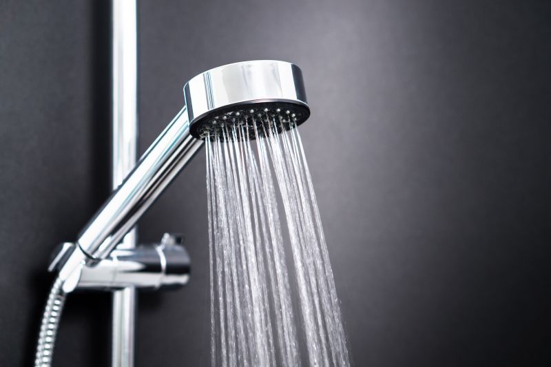 Showerhead Repair in Denver, CO