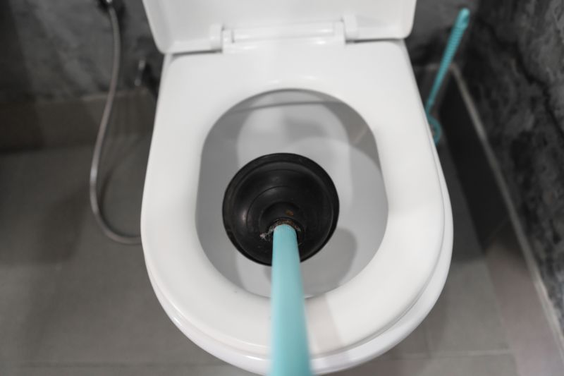 Toilet Plunging in Denver, CO