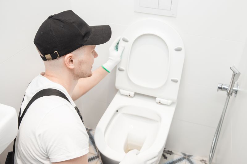 Toilet Service in Denver, CO